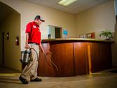 Pest Control Companies: The Perfect Sources To Keep The Office Pest Free