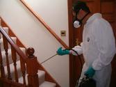 Definite Reasons to Hire Pest Control for your Home