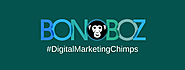 Website Designing Company in India - Bonoboz.in