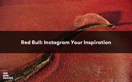 Red Bull: Instagram Your Inspiration case study