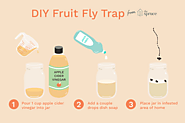 To Trap Fruit Flies
