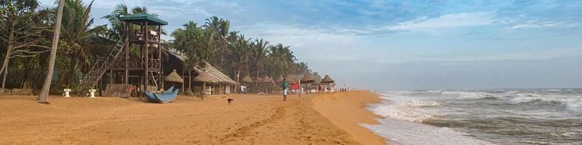 Headline for 5 Exciting Things to do in Dehiwala-Mount Lavinia – The Sun, The Beach and The City