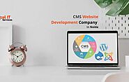 How to build a website with CMS? Rexcel IT Services