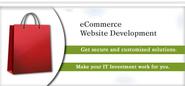 Custom eCommerce Web Design & Development Company
