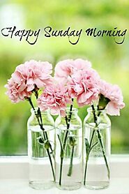 40+ Good Morning Happy Sunday Images with Flowers HD | Flowers Gif