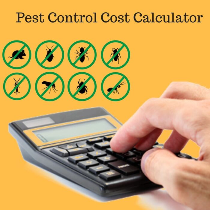 Get Pest Control A Listly List