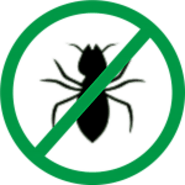 Pest Control in Chennai, Pest Control Charges in Chennai