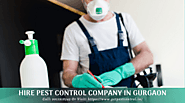 What to Expect From Pest Control Company in Gurgaon? | The Smart Living Network