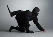 Ninjutsu
