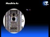 Moultrie A5 Low Glow Game Camera Review