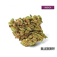 Buy Blueberry Marijuana Strain Online - Buy Weed Online