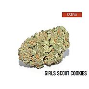 Order Girls Scout Cookies Marijuana (Weed) Strain - Buy Weed Online