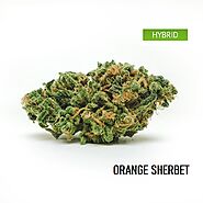 Order Online Orange Sherbet Marijuana Strain - Buy Weed Online