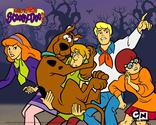 Scooby Doo