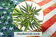 Abundant Life Seeds is America's foremost seed distributor