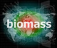 Biomass Advantages and Disadvantages — SynTech Bioenergy
