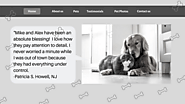 Animal Pet Website Design