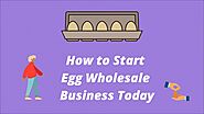 Website at https://sideassets.info/egg-wholesale-business-everybody-need-to-start-working-from-today/