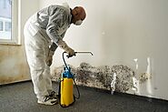 Mould Removal in Canada » Residence Style