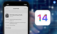 iOS 14 Release: What Should You Know All About?