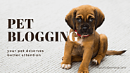 Pet Blogging: How to Start and Make Money in 2022 - CyberNaira