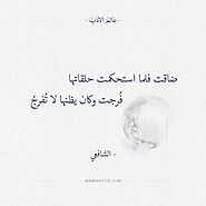 ضاقت فلما استحكمت حلقاتها - الشافعي | Arabic quotes, Words quotes, Language quotes