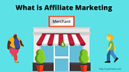 What is Affiliate Marketing And How Does it Work - CyberNaira