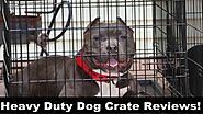 Heavy Duty Dog Cage 2020-dogbreeds