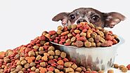 Best Dog Food Comparison 2020-dogbreeds