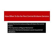 How Often To Go For Pest Control Brisbane Services?
