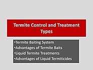 Termite Control and Treatment Types