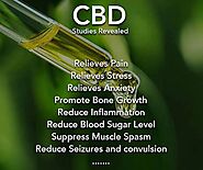 How CBD Can Help In Anxiety Relieve | CBD For Anxiety