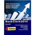 Download Previous Year IBPS Clerk Exam Paper 2013
