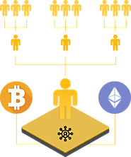 Bitcoin MLM Software Development Company-Crypto Developer