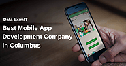 The Ultimate Strategy To Increase Your Sales by Hiring Mobile App Development Company In Columbus