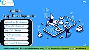 Web Development Company in Noida - Euridice Technologies Pvt. Ltd. - Medium