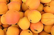 Apricot In Hindi : खुबानी के फायदे नुकसान उपयोग विधी » Health In Hindi.net