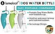 LumoLeaf Water Bottle for Dogs