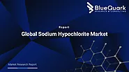 Global Sodium Hypochlorite Market | BlueQuark Research & Consulting