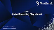 Global Bleaching Clay Market | BlueQuark Research & Consulting