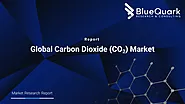 Global Carbon Dioxide Market | BlueQuark Research & Consulting