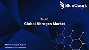 Global Nitrogen Market | BlueQuark Research & Consulting