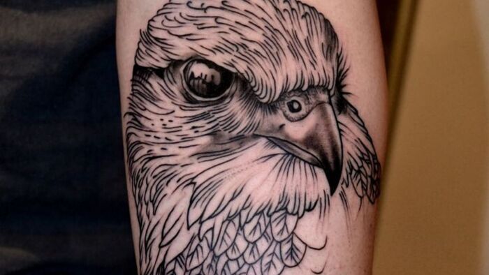 Bird tattoos  Ace Tattooz  Best Tattoo Studio in Mumbai India