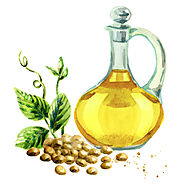 Healthy Cooking Oil — Soybean Oil - Discover Useful And Nutritious Facts