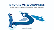 WordPress vs Drupal – Which One is Better in 2021? - Elsner