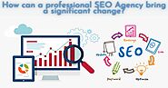 How can a professional SEO Agency bring a significant change?