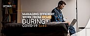 Managing Efficient Work from Home during COVID-19 | Optimus Fox