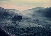 Kodaikanal to Munnar Road