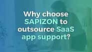 SaaS Application Support Provider Company in USA