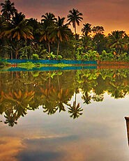 Kerala Tour Packages from Ahmedabad - Akshar Tours